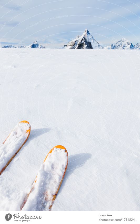 Skispitzen auf einem Gletscher im Hintergrund das Matterhorn Freude Ferien & Urlaub & Reisen Tourismus Abenteuer Winter Schnee Berge u. Gebirge Sport Skifahren