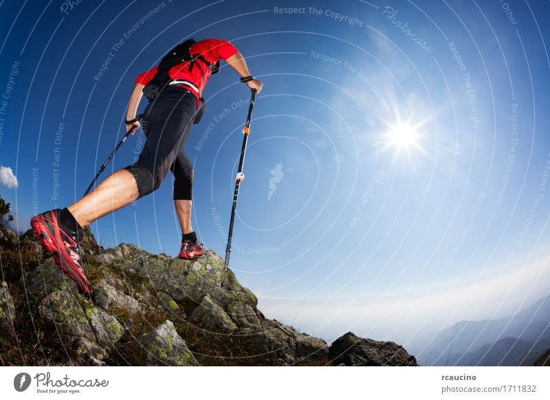Skyrunning: Rückansicht eines jungen männlichen Läufer Freiheit Sommer Sonne Berge u. Gebirge wandern Sport Mensch Mann Erwachsene Natur Landschaft Himmel