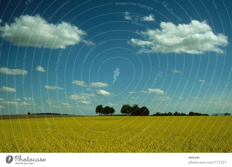 Blickpunkte Farbfoto Außenaufnahme Menschenleer Tag Panorama (Aussicht) Natur Landschaft Himmel Wolken Frühling Schönes Wetter Feld blau gelb weiß Gefühle