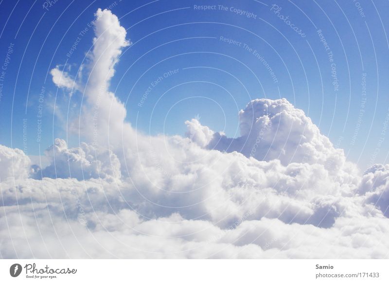 Wolkenmeer Farbfoto Außenaufnahme Luftaufnahme Menschenleer Textfreiraum oben Tag Licht Sonnenlicht Zentralperspektive Totale Wasser Himmel Sommer
