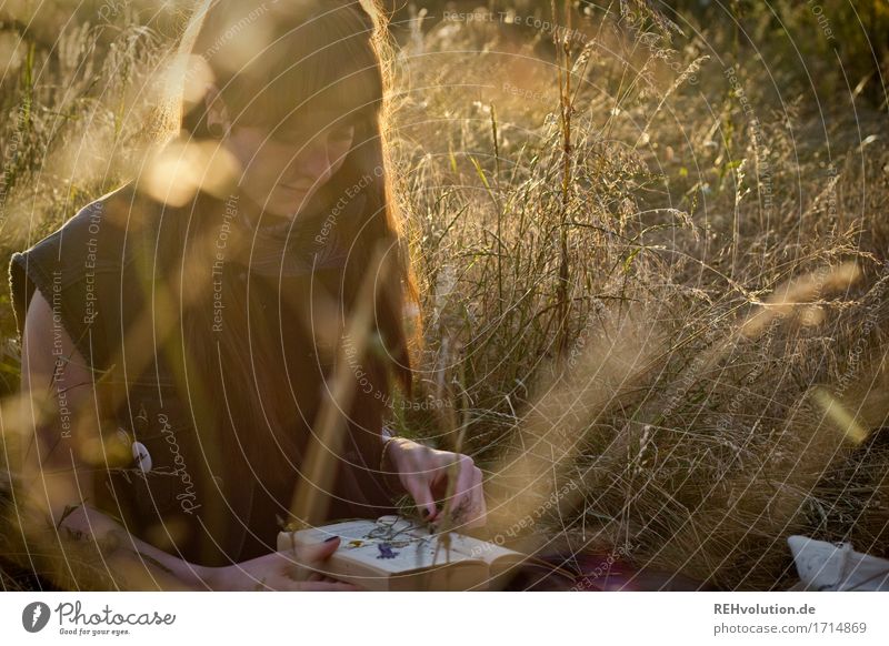 Carina | im Abendlicht Freizeit & Hobby Mensch feminin Junge Frau Jugendliche Erwachsene 1 18-30 Jahre Buch Umwelt Natur Landschaft Gras Wiese brünett
