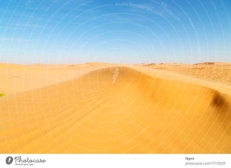 R Sanddüne in Oman alte Wüste Rub al Khali schön Ferien & Urlaub & Reisen Tourismus Abenteuer Safari Sommer Sonne Natur Landschaft Himmel Horizont Park Hügel