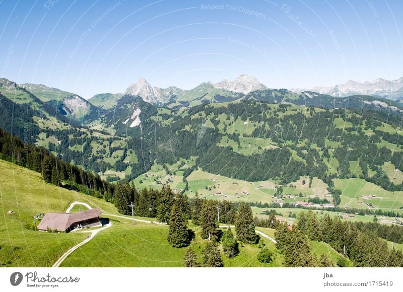 Flug nach Gstaad II Lifestyle harmonisch Wohlgefühl Zufriedenheit Erholung ruhig Freizeit & Hobby Ausflug Abenteuer Ferne Freiheit Gleitschirmfliegen