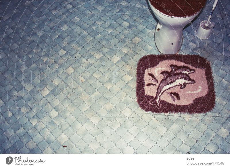 Flipper Farbfoto Innenaufnahme Menschenleer Textfreiraum links Tag Wohnung Bad Toilette Klima Fußmatte Boden Linoleum Toilettenbürste Delphine 2 Tier Kunststoff