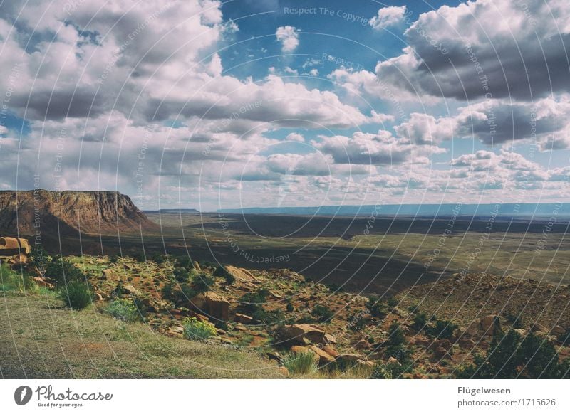 Beautiful Amerika (a) Himmel Wolken Tag Schatten Berge u. Gebirge Grand Canyon USA Landschaft Pflanze Tier Aussicht Ferne Menschenleer Sträucher Vulkankrater