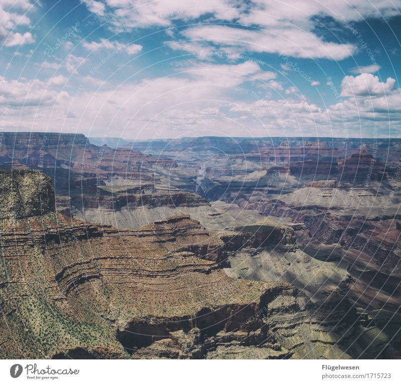 Beautiful Amerika (r) Himmel Wolken Tag Schatten Berge u. Gebirge Grand Canyon USA Landschaft Pflanze Tier Aussicht Ferne Menschenleer Sträucher Vulkankrater