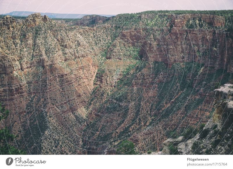 Beautiful Amerika (t) Himmel Wolken Tag Schatten Berge u. Gebirge Grand Canyon USA Landschaft Pflanze Tier Aussicht Ferne Menschenleer Sträucher Vulkankrater