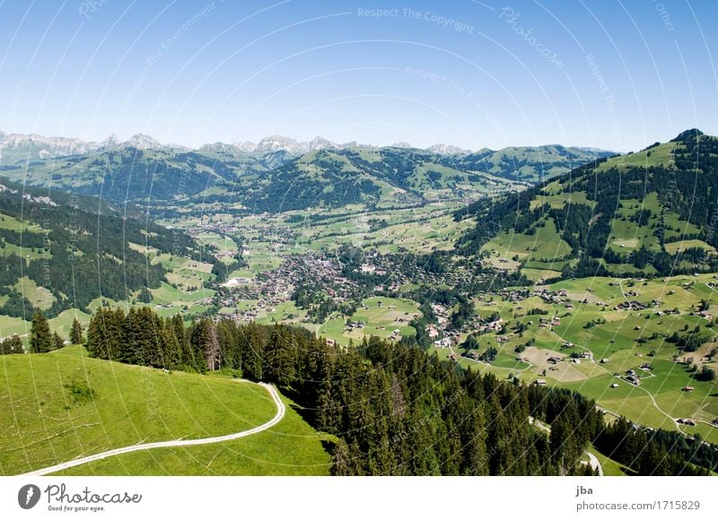 Flug nach Gstaad I Lifestyle Leben Wohlgefühl Zufriedenheit Erholung ruhig Freizeit & Hobby Ausflug Abenteuer Ferne Freiheit Sommer Berge u. Gebirge