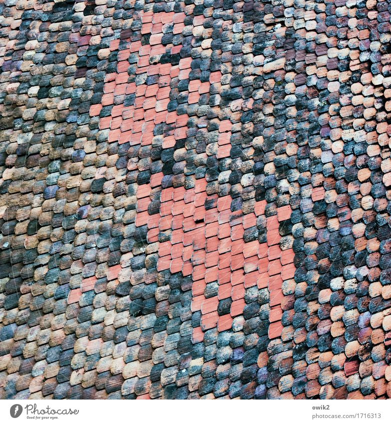 Ziegelei Haus Dach Dachziegel oben viele Farbfoto Gedeckte Farben Außenaufnahme Detailaufnahme abstrakt Muster Strukturen & Formen Menschenleer