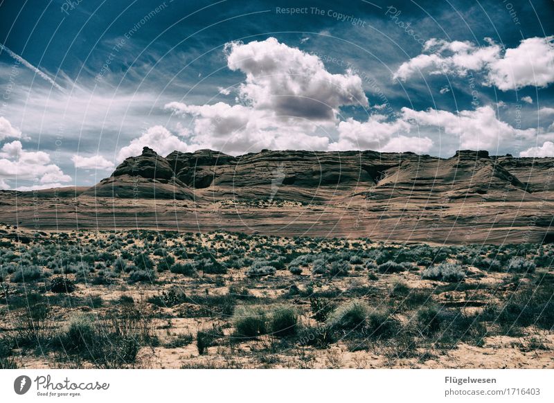 Beautiful Amerika (j) Himmel Wolken Tag Schatten Berge u. Gebirge Grand Canyon USA Landschaft Pflanze Tier Aussicht Ferne Menschenleer Sträucher Vulkankrater