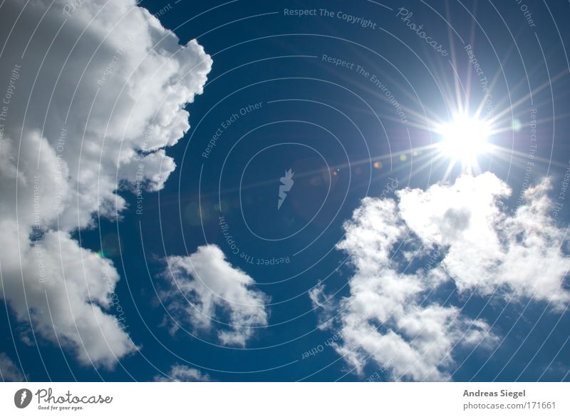 Sonnenschein Farbfoto Außenaufnahme Menschenleer Textfreiraum oben Tag Licht Sonnenlicht Sonnenstrahlen Umwelt Luft Himmel nur Himmel Wolken Sommer Klima