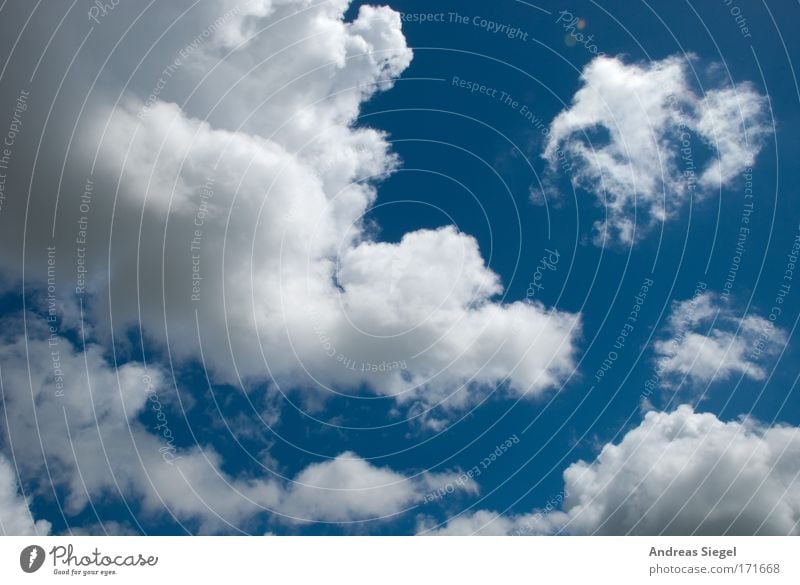 Wolkenschein Farbfoto Außenaufnahme Menschenleer Tag Sonnenlicht Umwelt Natur Luft Himmel nur Himmel Sommer Klima Klimawandel Wetter Schönes Wetter Wärme