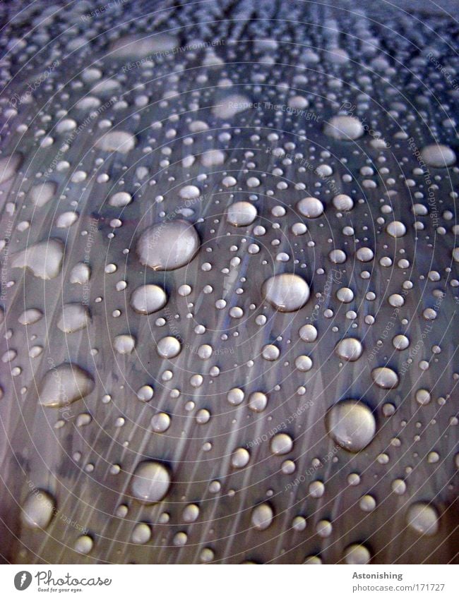 big Points Natur Wetter Regen Kunststoff Wasser dunkel blau Wassertropfen nass Farbfoto Außenaufnahme Menschenleer Schatten Kontrast Unschärfe hydrophob