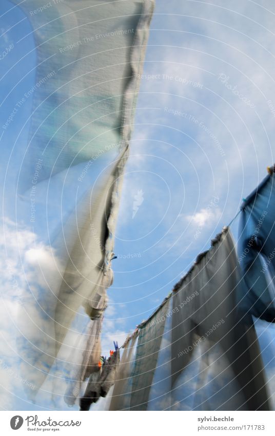 vom winde verweht Himmel Wolken Sommer Klima Wind Garten Hose Bewegung fliegen frisch Reinlichkeit Sauberkeit Reinheit Wäsche Wäscheleine Wäscheklammern