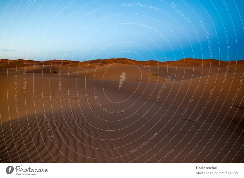Sahara Desert Ferien & Urlaub & Reisen Natur Sand trocken Gefühle adventure africa blue desert dune golden heat hill landscape Merzouga moroccan morocco