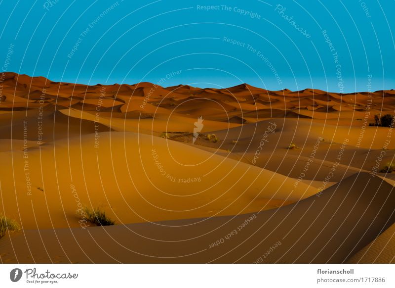 Sahara Desert, Wüste Ferien & Urlaub & Reisen Natur Sand schön Zufriedenheit Erholung Freiheit adventure africa blue desert dune golden heat hill landscape