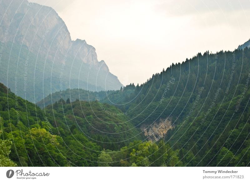 Heimweh Panorama (Aussicht) Ferien & Urlaub & Reisen Tourismus Berge u. Gebirge Klettern Bergsteigen Natur Landschaft Sommer Baum Wald Hügel Felsen bedrohlich