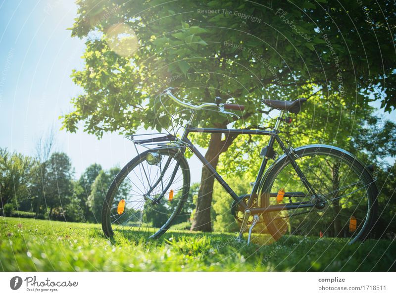 Fahrrad-Romantik Gesundheit Wellness Leben Erholung ruhig Ferien & Urlaub & Reisen Ausflug Freiheit Sommer Sommerurlaub Sonne Fahrradfahren Umwelt Natur Klima