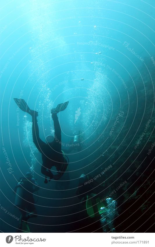 DRUCKAUSGLEICH Druckausgleich Malediven tauchen Taucher Triton Tila Angaga Ari Atoll Ferien & Urlaub & Reisen Erholung entdecken Abenteuer Unterwasseraufnahme