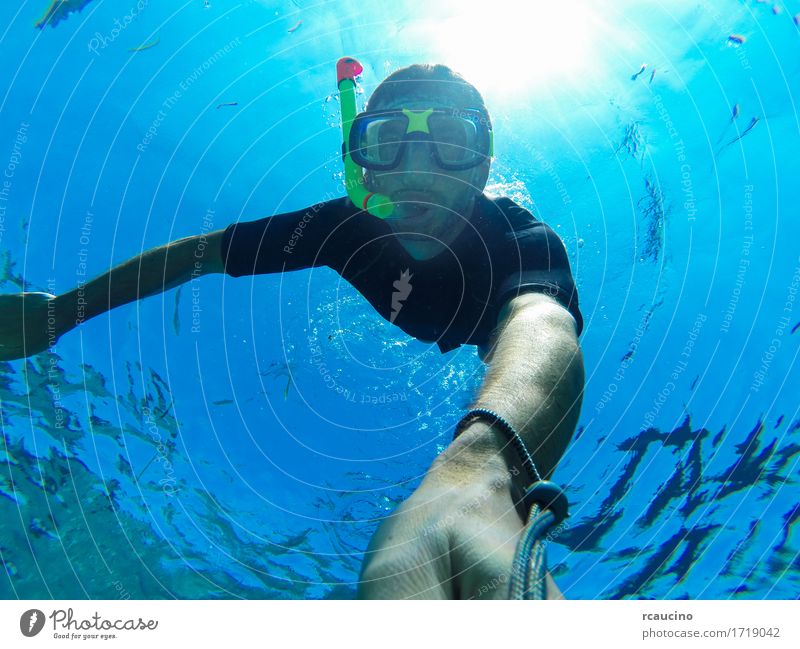 Freitauchen: Selbstbildnis eines männlichen Freedivers Lifestyle Sommer Meer Sport Mensch Mann Erwachsene Natur unten blau Wasser Schnorcheln Schwimmsport