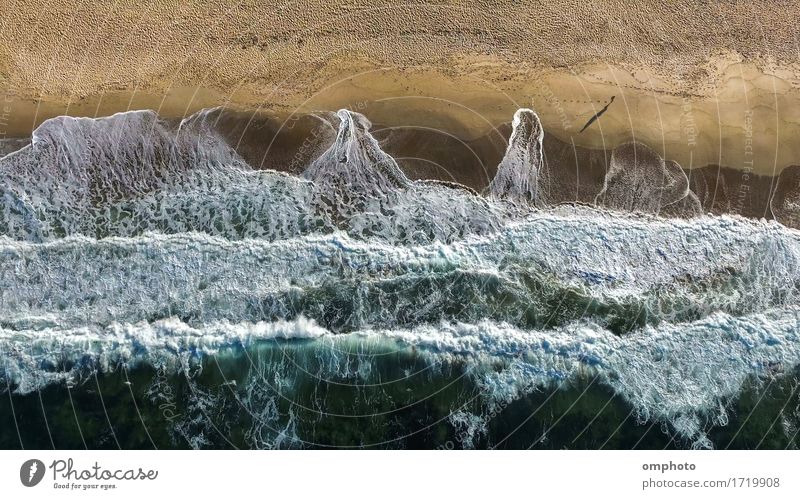 Luftaufnahme eines gehenden Mannes an einem Strand mit brechenden Wellen Freizeit & Hobby Ferien & Urlaub & Reisen Sommer Meer Mensch Erwachsene Natur