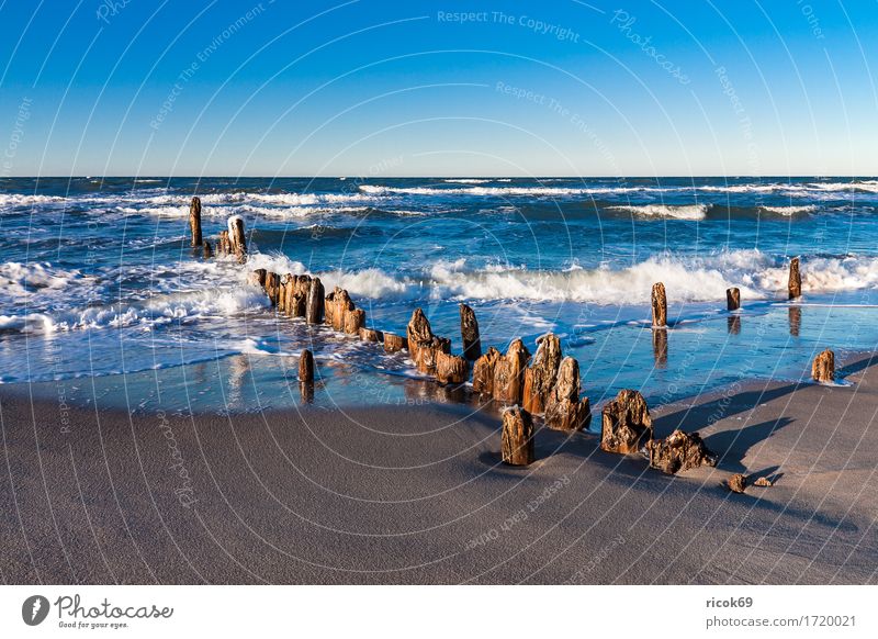 Buhnen an der Küste der Ostsee Erholung Ferien & Urlaub & Reisen Tourismus Strand Meer Wellen Natur Landschaft Wasser Wolkenloser Himmel Sturm Holz blau