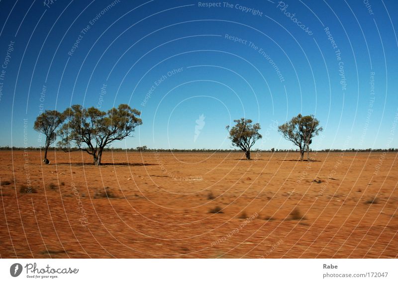 Outback 2006 Farbfoto Außenaufnahme Menschenleer Textfreiraum oben Textfreiraum unten Tag Sonnenlicht Bewegungsunschärfe Zentralperspektive
