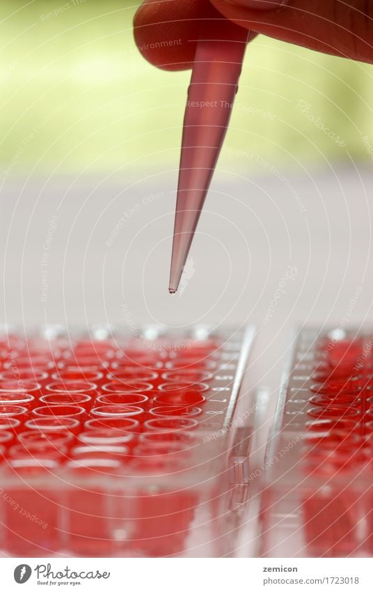 Tröpfchen in einem Reagenzglas. Labor Medizin Gesundheitswesen und Medizin Wissenschaften Chemie DNA forschen Wissenschaftliches Experiment Medizinischer Test