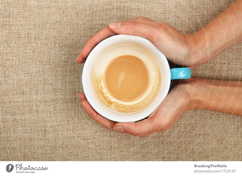 Zwei Frauenhände, die leere Lattecappuccino-Kaffeetasse halten Kaffeetrinken Getränk Heißgetränk Latte Macchiato Becher Erwachsene Hand festhalten Umarmen heiß