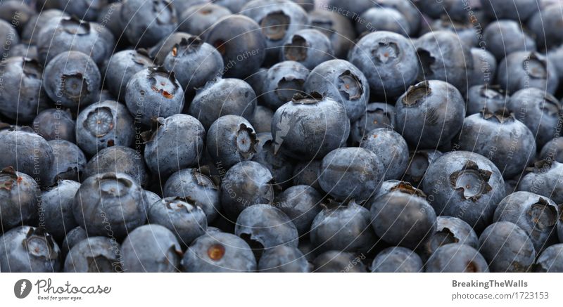 Frischer Blaubeerbeerenhintergrund-Musterabschluß oben Lebensmittel Frucht Ernährung Essen Bioprodukte Vegetarische Ernährung Diät frisch Gesundheit lecker