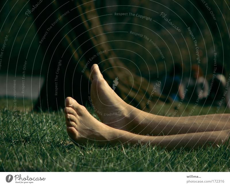 Beinliche Angelegenheit - Chillen im Park Barfuß Wiese ausruhen Erholung Sommer Sonnenbad Arbeitslosigkeit Mensch Beine Fuß Wade liegen schlafen Müdigkeit