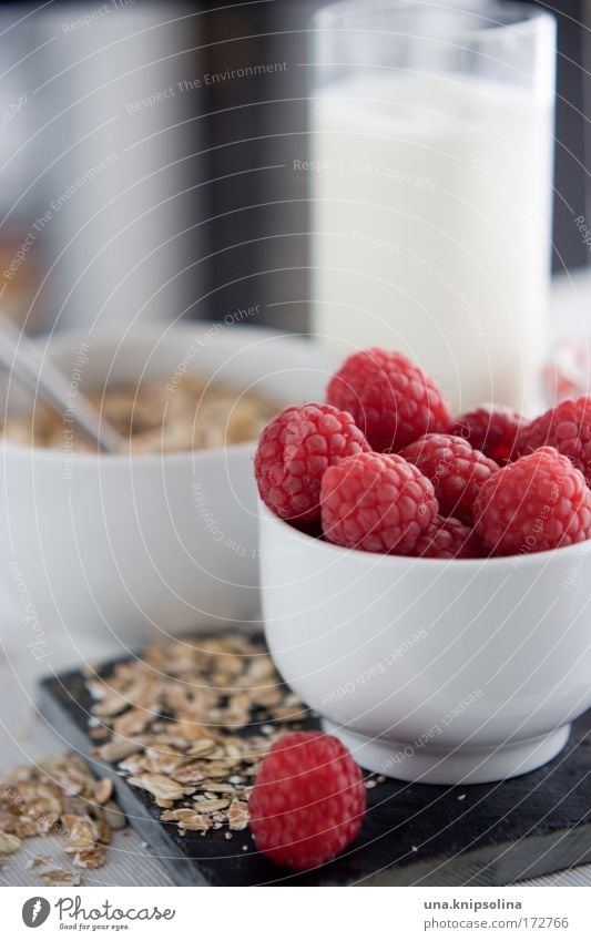 good morning Lebensmittel Milcherzeugnisse Frucht Getreide Ernährung Frühstück Bioprodukte Vegetarische Ernährung Diät Gesundheit rot weiß Himbeeren Beeren