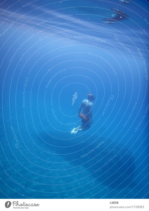 abtauchen... Sport Wassersport Schwimmen & Baden Mensch maskulin Mann Erwachsene Körper 1 30-45 Jahre sportlich Unendlichkeit nass blau Willensstärke Vertrauen