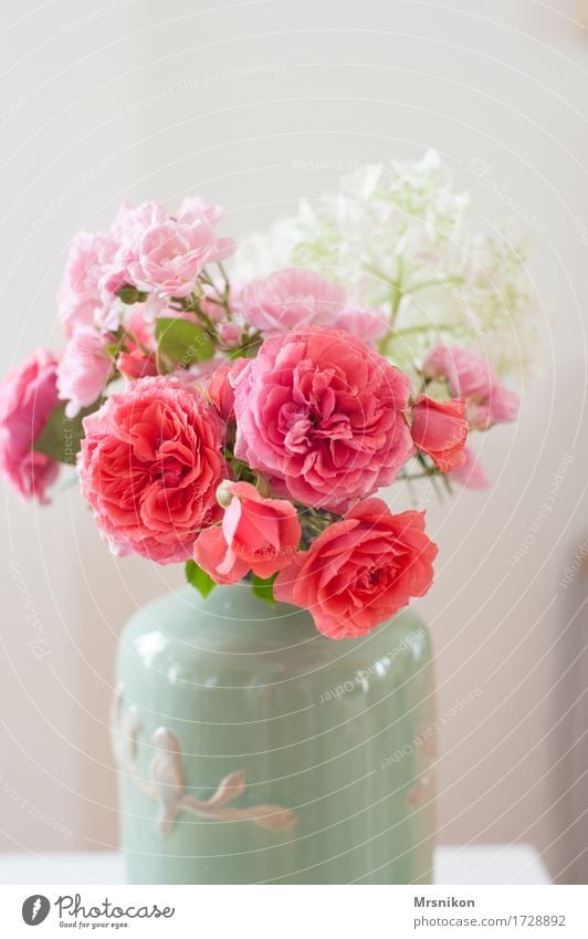 Rosenliebe ästhetisch Vase Blumenstrauß Rosenblüte Hortensienblüte Muttertag Valentinstag Liebe Geburtstag Keramik rosa einrichten Dekoration & Verzierung