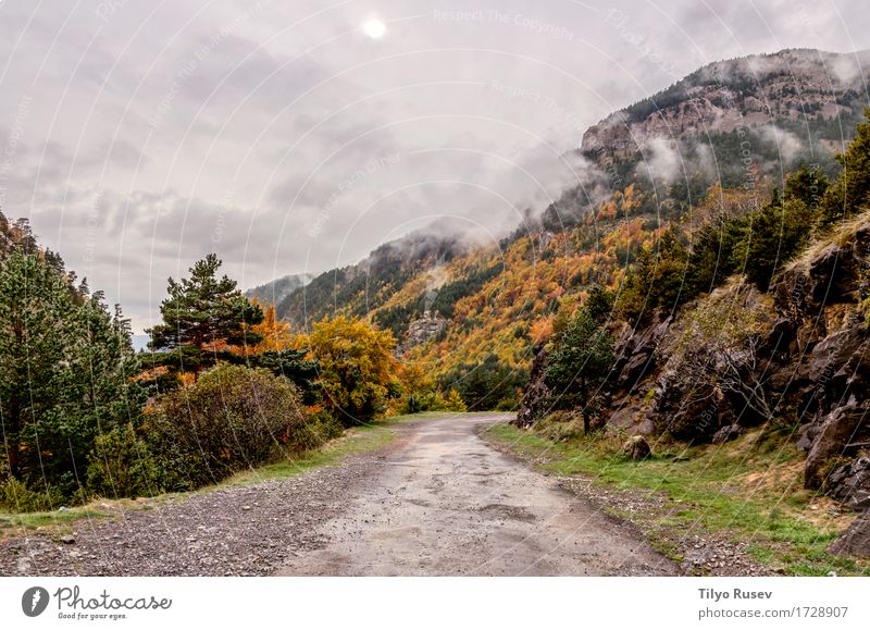 Herbst in den Pyrenäen schön Berge u. Gebirge Umwelt Natur Landschaft Himmel Wolken Blatt Park Wald Hügel Platz natürlich blau grün rot Farbe Aisa aragonisch
