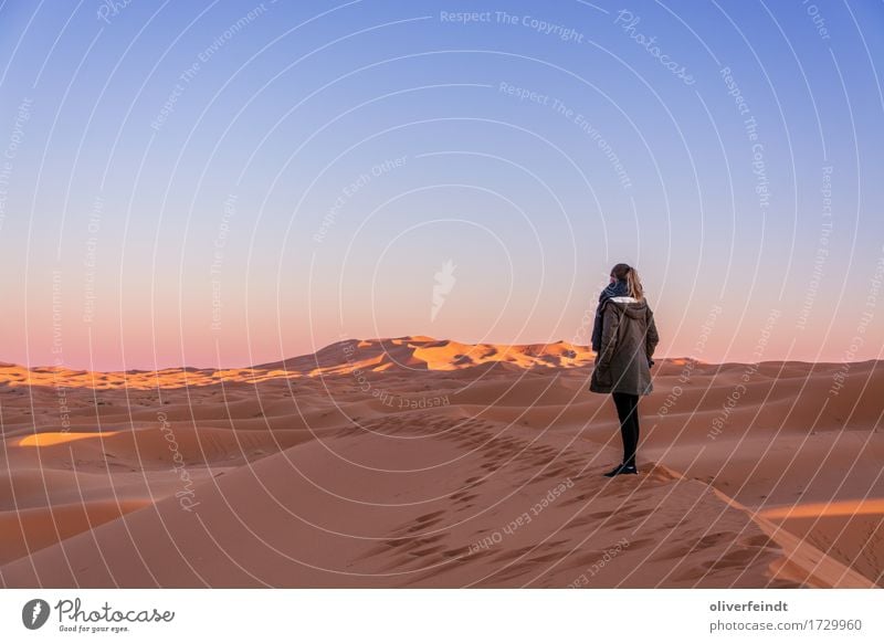 Marokko - Sonnenuntergang Ferien & Urlaub & Reisen Ausflug Abenteuer Ferne Freiheit Expedition feminin Junge Frau Jugendliche 1 Mensch 18-30 Jahre Erwachsene