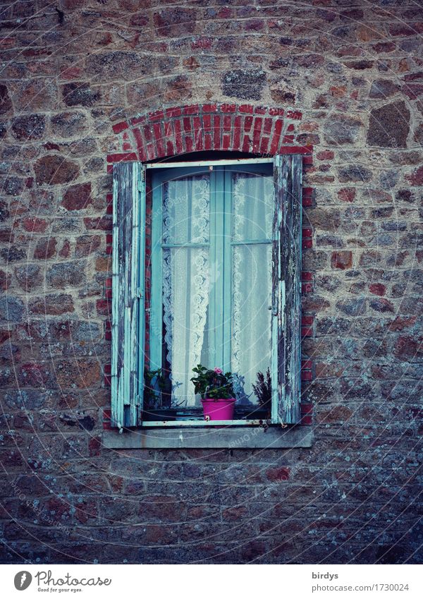 Zeitfenster Häusliches Leben Topfpflanze Altstadt Haus Natursteinfassade Fassade Fenster Fensterladen Blumentopf alt ästhetisch authentisch Originalität positiv