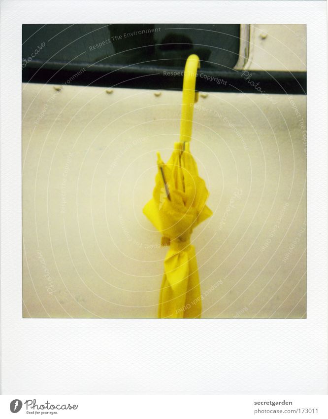[KI09.1] gelber hingucker der: der schirm von john steed Farbfoto mehrfarbig Außenaufnahme Nahaufnahme Detailaufnahme Polaroid Textfreiraum links