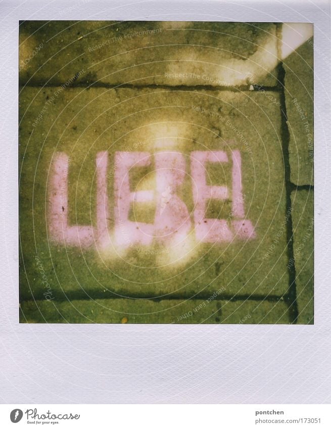 Das Wort liebe steht mit Straßenkreide geschrieben auf Pflastersteinen. Romantik. Polaroid Wege & Pfade Pflasterweg Stein Zeichen Schriftzeichen Graffiti Liebe