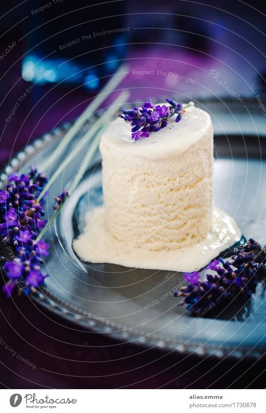 Vanilleeis mit Lavendelsirup Speiseeis Sirup Softeis milcheis Lebensmittel Foodfotografie Essen kalt Eis Erfrischung Sommer violett Kräuter & Gewürze aromatisch