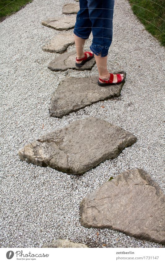 Stehen Gleichgewicht Beine Fuß Garten laufen Natur Park Wege & Pfade Bürgersteig Fußweg Sommer Sonne Textfreiraum Ferien & Urlaub & Reisen Pflanze Vorsicht