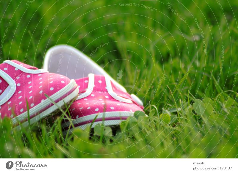 my lovely pink shoes Farbfoto Außenaufnahme Stil Freizeit & Hobby Sommer Fuß Natur Gras Garten Mode Schuhe liegen trendy grün rosa Gefühle Lebensfreude