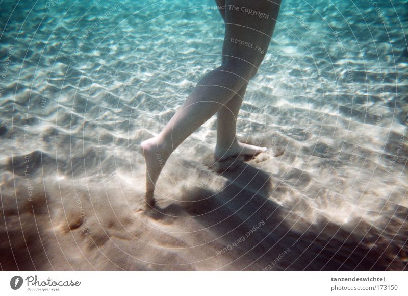seawalk Farbfoto Unterwasseraufnahme Tag Licht Schatten Kontrast Silhouette Reflexion & Spiegelung Lichterscheinung Sonnenlicht Sonnenstrahlen Mensch feminin