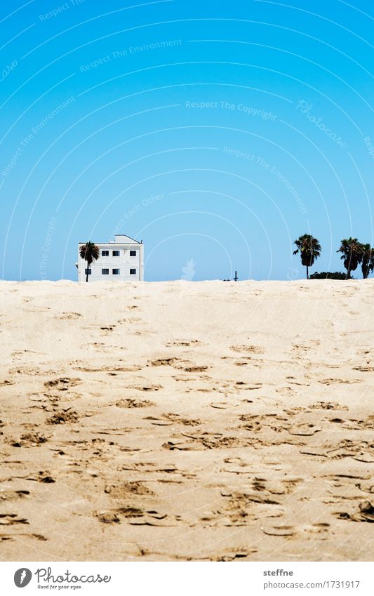 Strandhaus Ferien & Urlaub & Reisen Los Angeles Wärme Palme Haus Spielen familienurlaub Pazifik Düne Fußspur Paradies Erholung Wellness USA Farbfoto