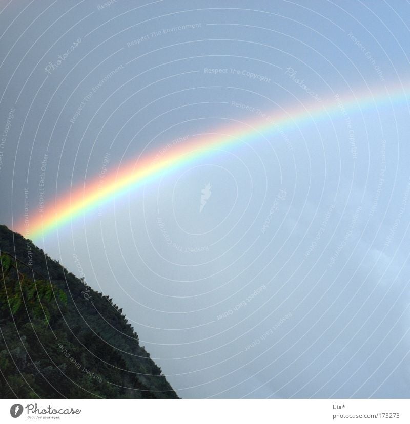 Lichterscheinung Farbfoto Außenaufnahme Sonnenlicht Himmel Regen leuchten mehrfarbig Hoffnung Endzeitstimmung Klima Optimismus Regenbogen regenbogenfarben