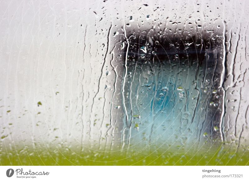 regen regen Farbfoto Außenaufnahme Experiment Menschenleer Textfreiraum links Ausstellung Wasser Wassertropfen schlechtes Wetter Regen Gras Wiese Mauer Wand