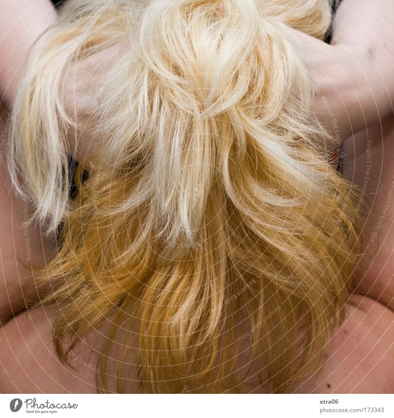 nicht das wonach es aussieht Farbfoto Innenaufnahme Studioaufnahme feminin Junge Frau Jugendliche Erwachsene Haut Kopf Haare & Frisuren Arme Hand 1 Mensch