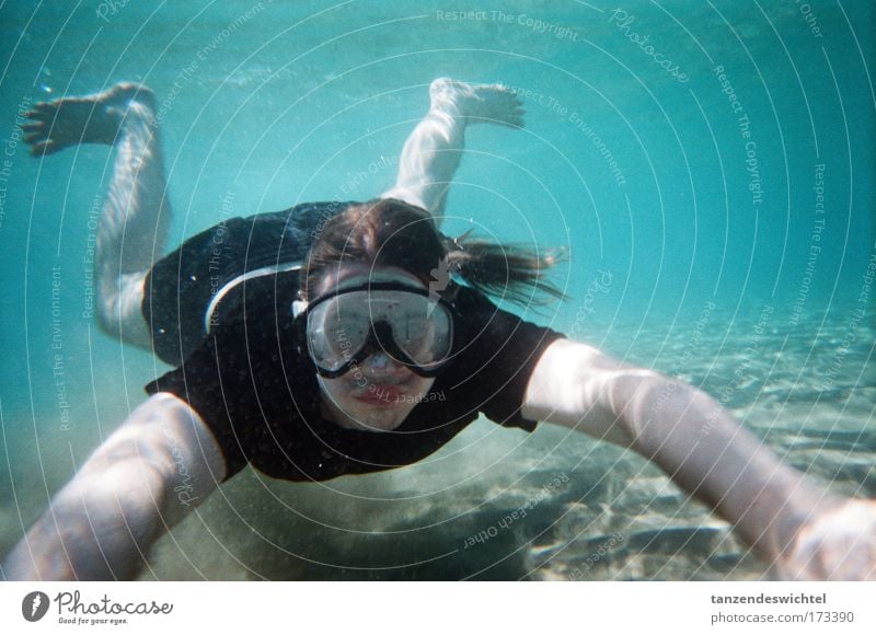 Der schwarz-weiße Hai Farbfoto Unterwasseraufnahme Ganzkörperaufnahme Blick in die Kamera Mensch maskulin Natur Sand Wasser Sonnenlicht Wellen Strand Meer