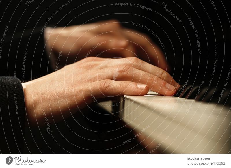 Klavier Musik gekonnt Geschicklichkeit Finger spielend Hand Pianist