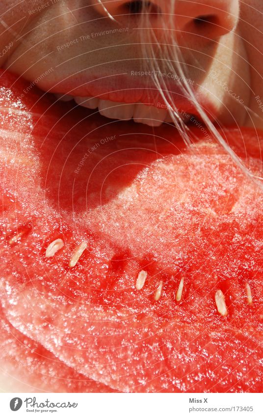 weils so lecker is Farbfoto Nahaufnahme Detailaufnahme Textfreiraum unten Sonnenlicht Blick nach vorn Frucht Ernährung Essen Picknick Bioprodukte